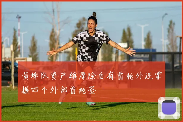 黄蜂队资产雄厚除自有首轮外还掌握四个外部首轮签